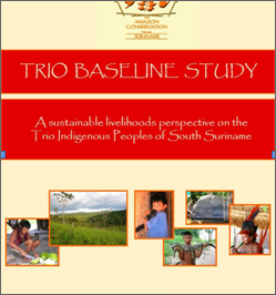 Trio Baseline Study