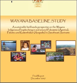 Wayana Baseline Study