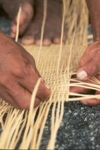 Comparative Woody Plant Knowledge of an Indigenous and Afro-American Maroon Community in Suriname, South America