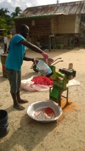 Machinale verwerking Peper