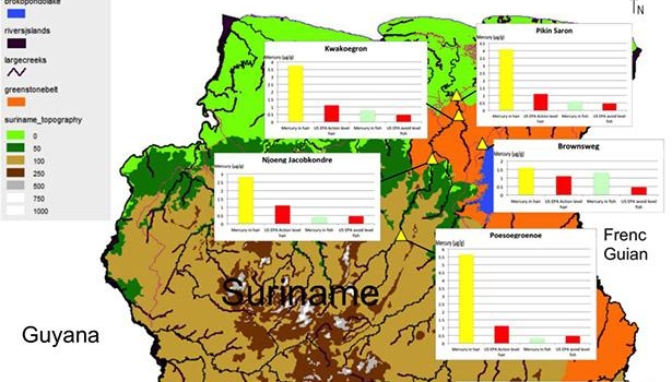 Te hoge kwikgehaltes in lichaam binnenlandbewoners